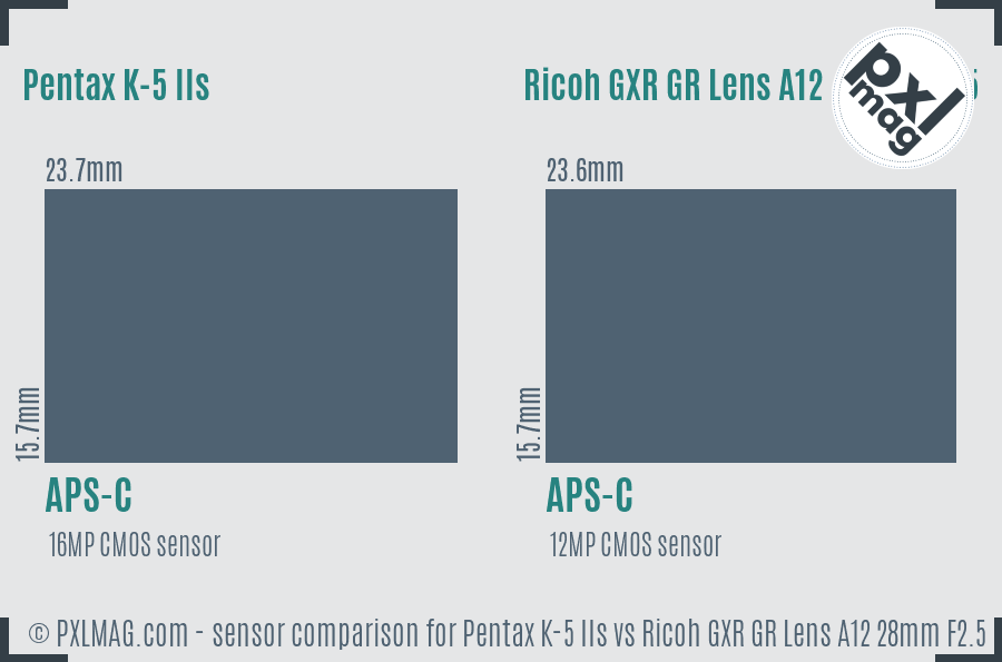 Pentax K-5 IIs vs Ricoh GXR GR Lens A12 28mm F2.5 sensor size comparison Pentax K-5 IIs vs Ricoh GXR GR Lens A12 28mm F2.5 sensor size comparison