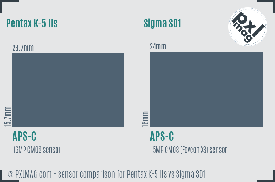 Pentax K-5 IIs vs Sigma SD1 sensor size comparison