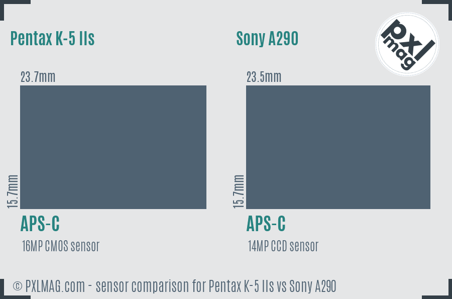 Pentax K-5 IIs vs Sony A290 sensor size comparison