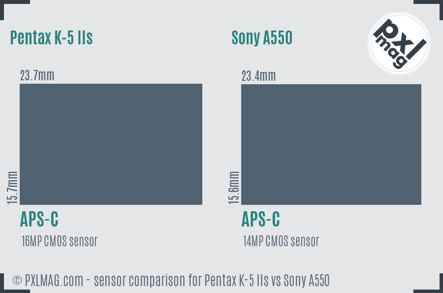 Pentax K-5 IIs vs Sony A550 sensor size comparison