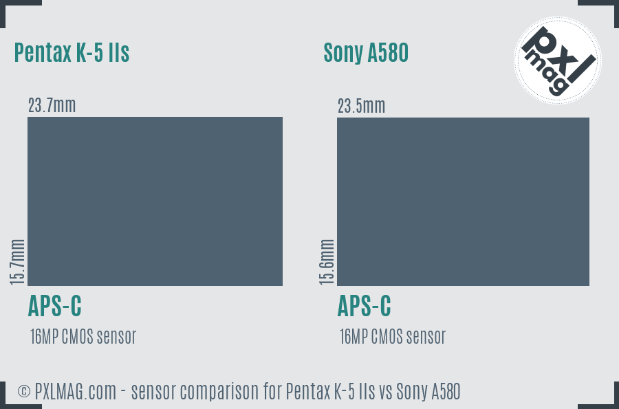 Pentax K-5 IIs vs Sony A580 sensor size comparison
