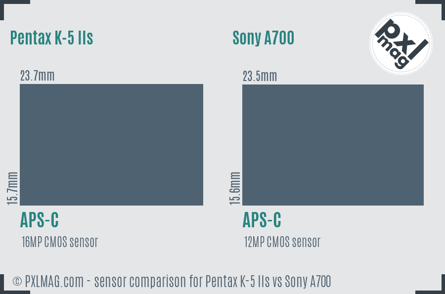 Pentax K-5 IIs vs Sony A700 sensor size comparison
