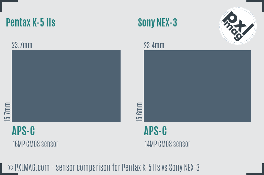 Pentax K-5 IIs vs Sony NEX-3 sensor size comparison Pentax K-5 IIs vs Sony NEX-3 sensor size comparison