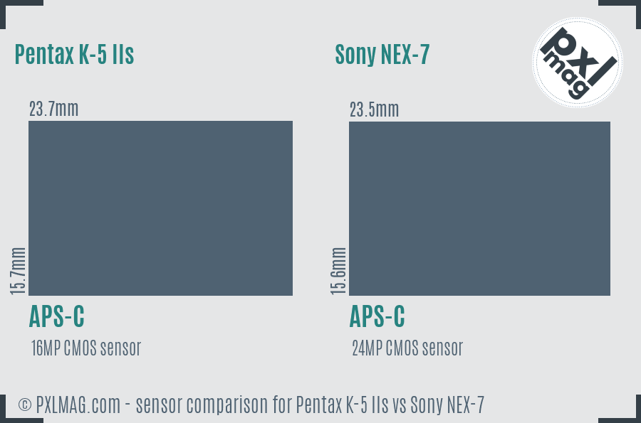 Pentax K-5 IIs vs Sony NEX-7 sensor size comparison Pentax K-5 IIs vs Sony NEX-7 sensor size comparison