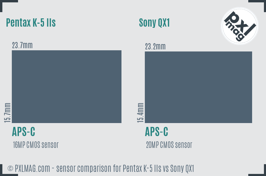 Pentax K-5 IIs vs Sony QX1 sensor size comparison