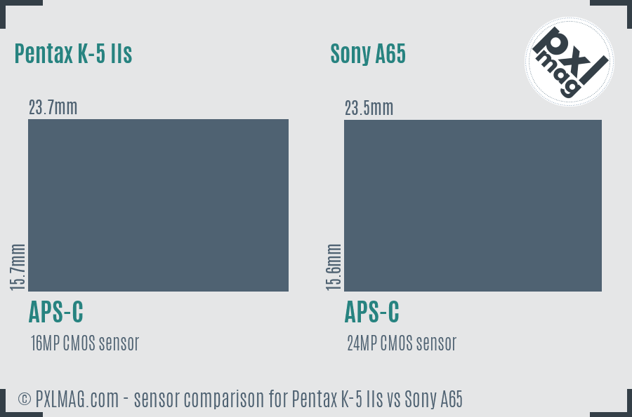 Pentax K-5 IIs vs Sony A65 sensor size comparison