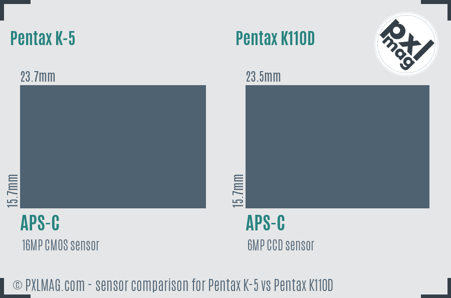 Pentax K-5 vs Pentax K110D sensor size comparison