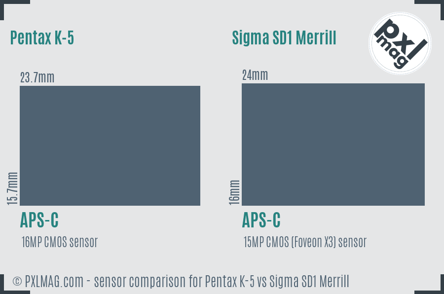Pentax K-5 vs Sigma SD1 Merrill sensor size comparison