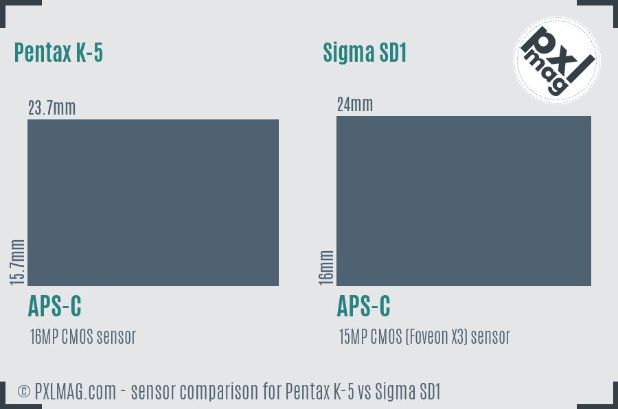 Pentax K-5 vs Sigma SD1 sensor size comparison