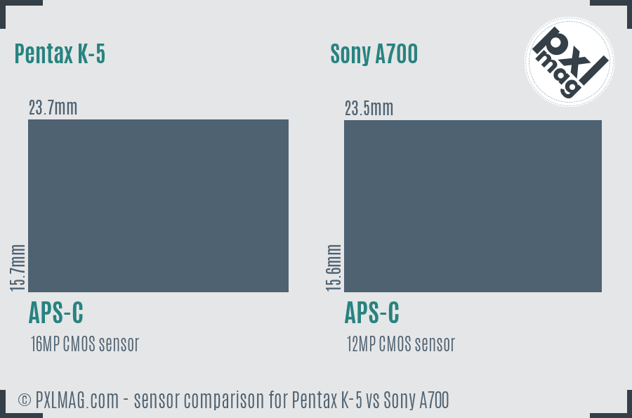 Pentax K-5 vs Sony A700 sensor size comparison