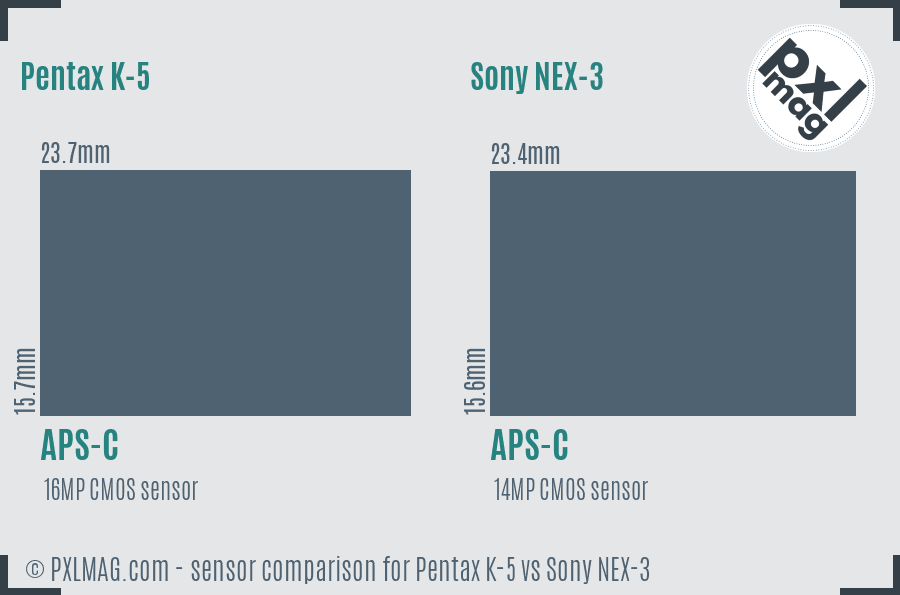 Pentax K-5 vs Sony NEX-3 sensor size comparison