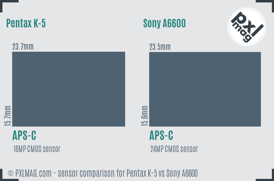 Pentax K-5 vs Sony A6600 sensor size comparison