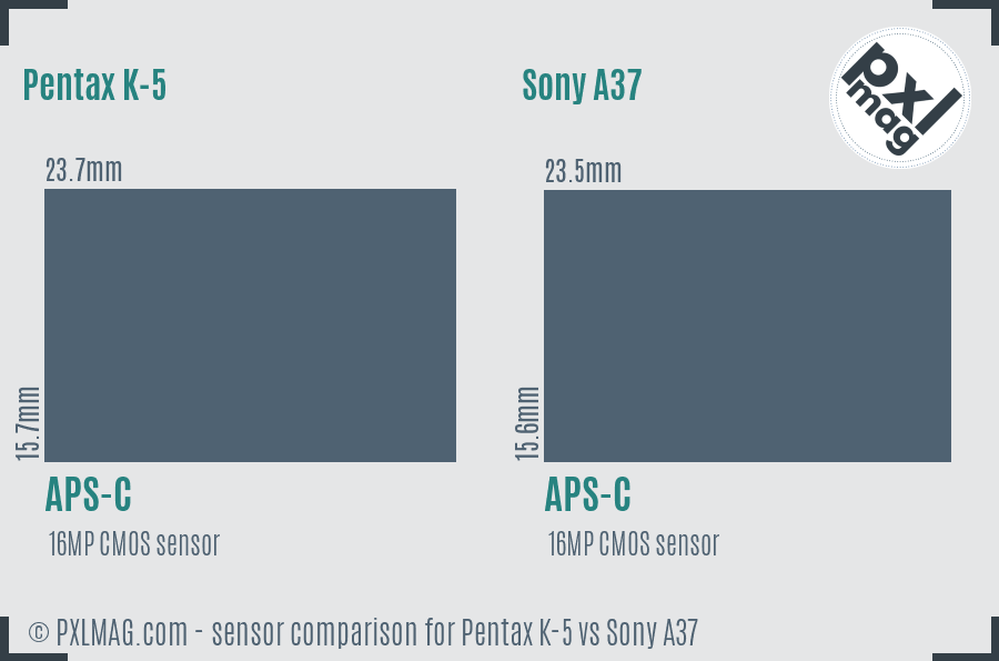 Pentax K-5 vs Sony A37 sensor size comparison