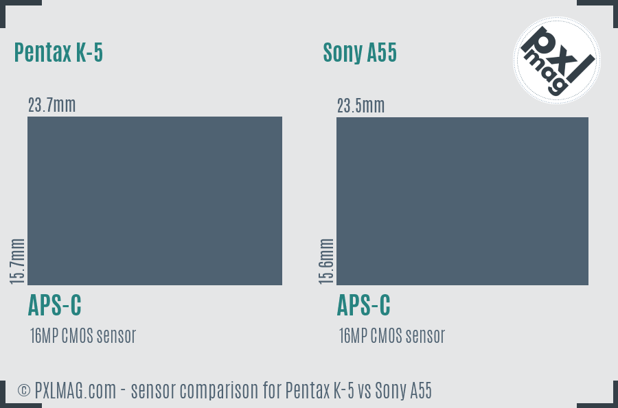 Pentax K-5 vs Sony A55 sensor size comparison