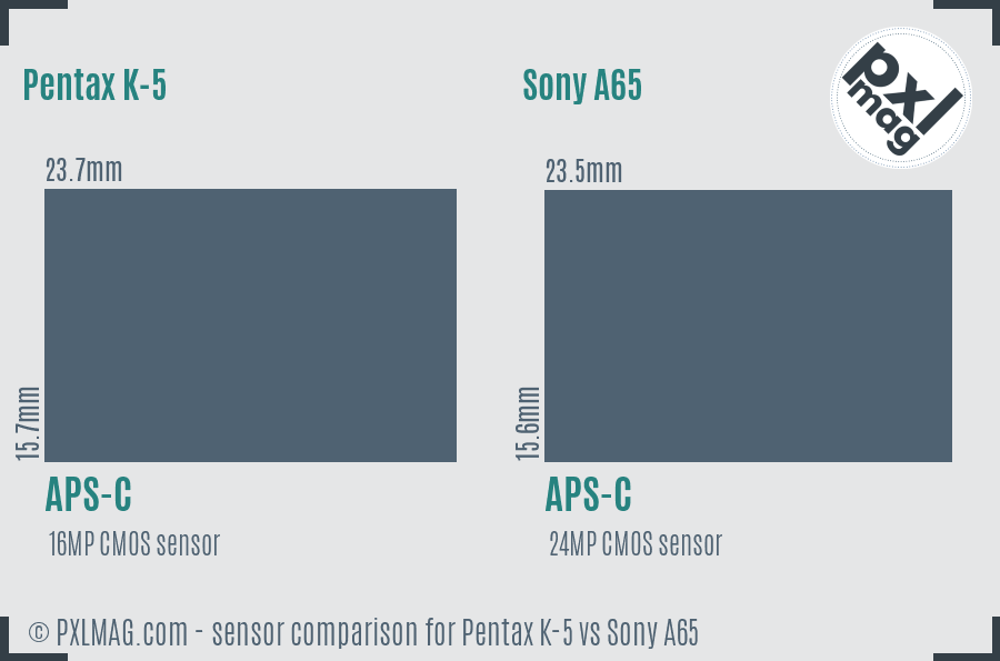 Pentax K-5 vs Sony A65 sensor size comparison