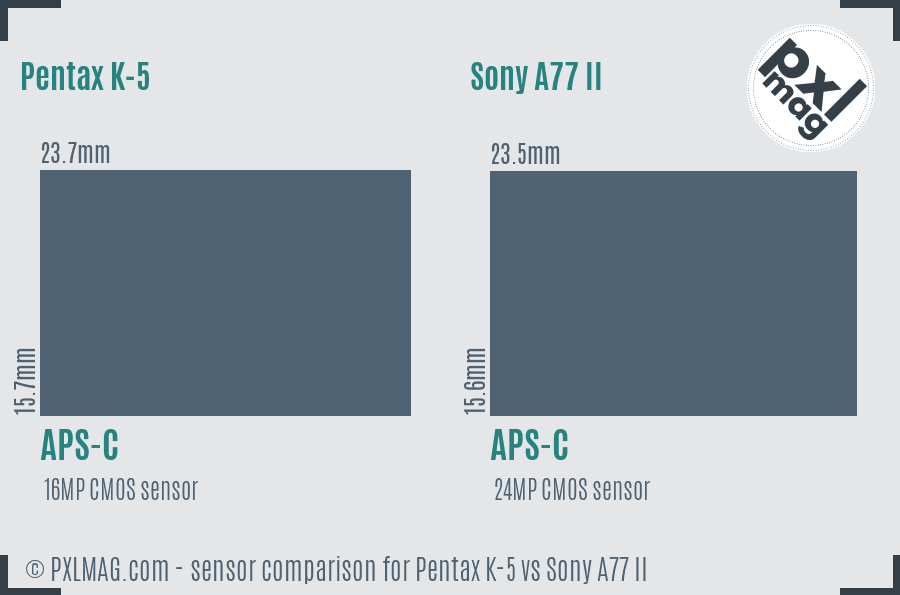 Pentax K-5 vs Sony A77 II sensor size comparison