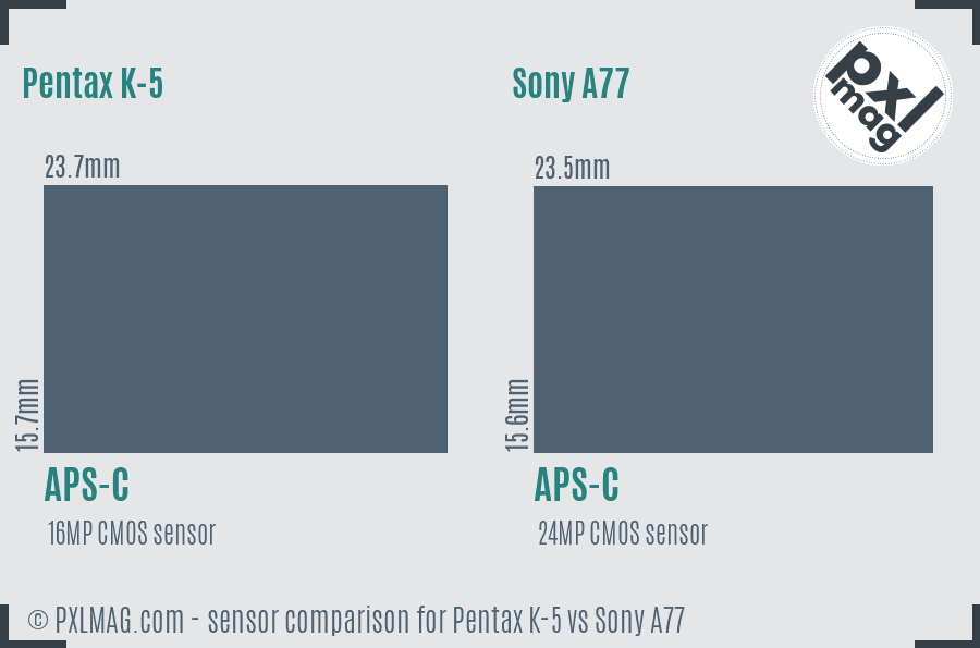 Pentax K-5 vs Sony A77 sensor size comparison