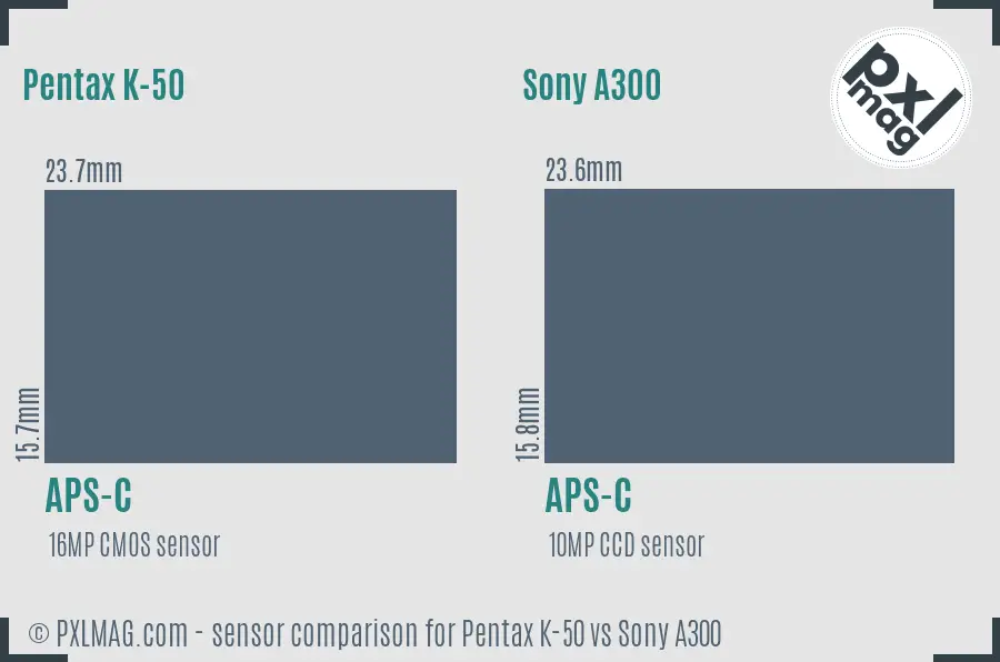 Pentax K-50 vs Sony A300 sensor size comparison