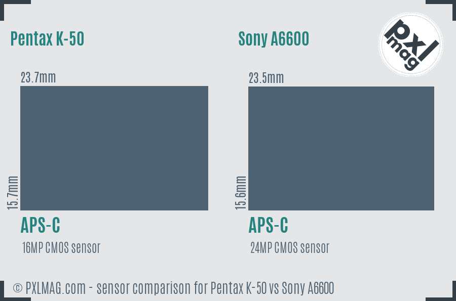 Pentax K-50 vs Sony A6600 sensor size comparison