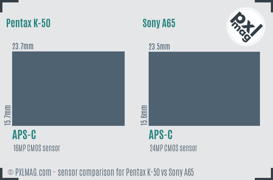 Pentax K-50 vs Sony A65 sensor size comparison
