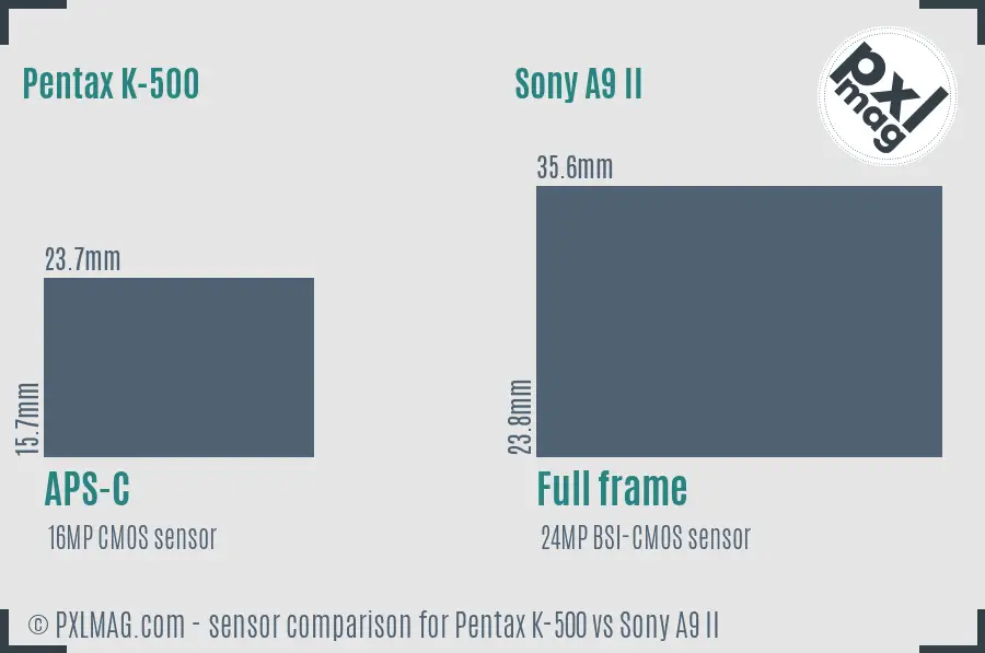 Pentax K-500 vs Sony A9 II sensor size comparison
