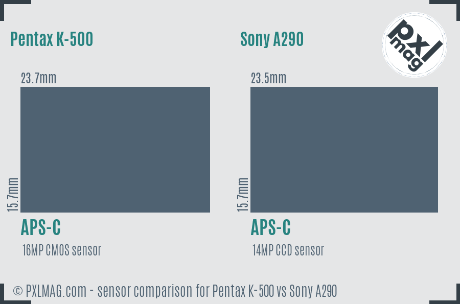 Pentax K-500 vs Sony A290 sensor size comparison