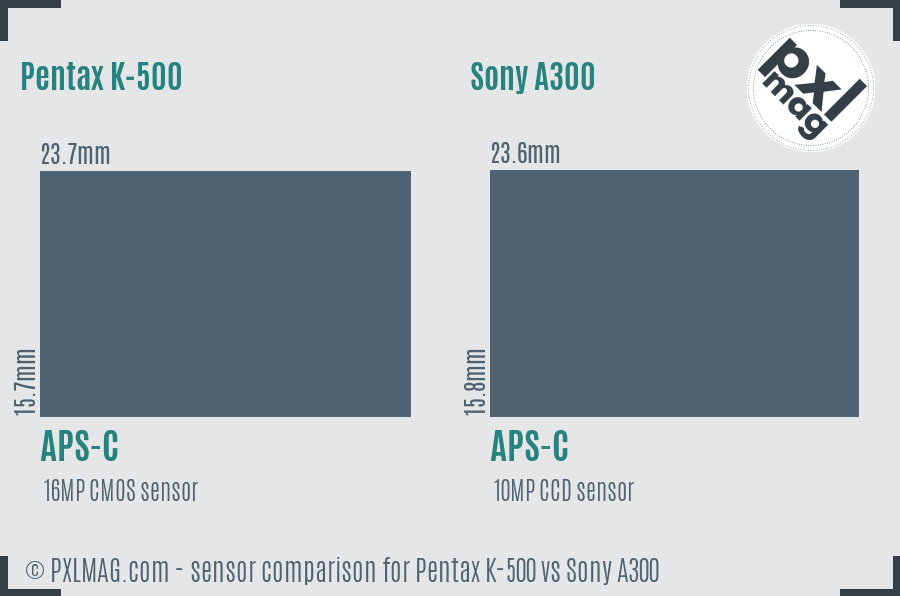 Pentax K-500 vs Sony A300 sensor size comparison