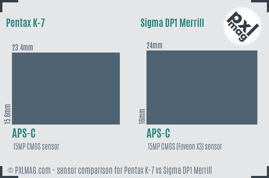 Pentax K-7 vs Sigma DP1 Merrill sensor size comparison
