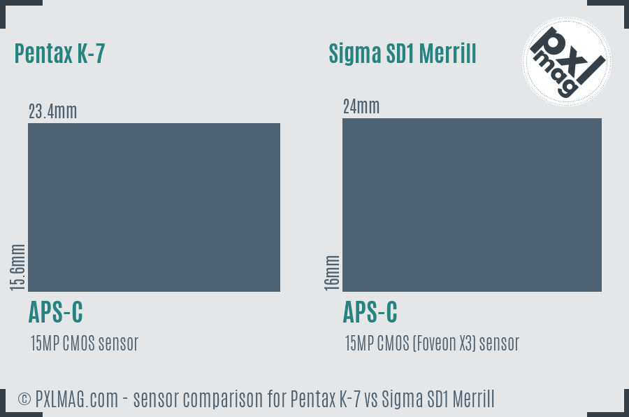 Pentax K-7 vs Sigma SD1 Merrill sensor size comparison