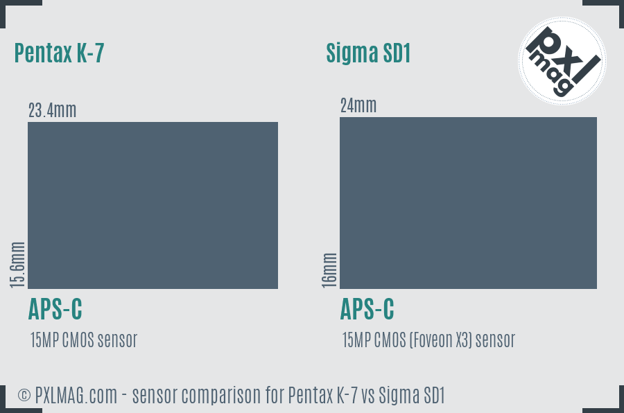 Pentax K-7 vs Sigma SD1 sensor size comparison Pentax K-7 vs Sigma SD1 sensor size comparison
