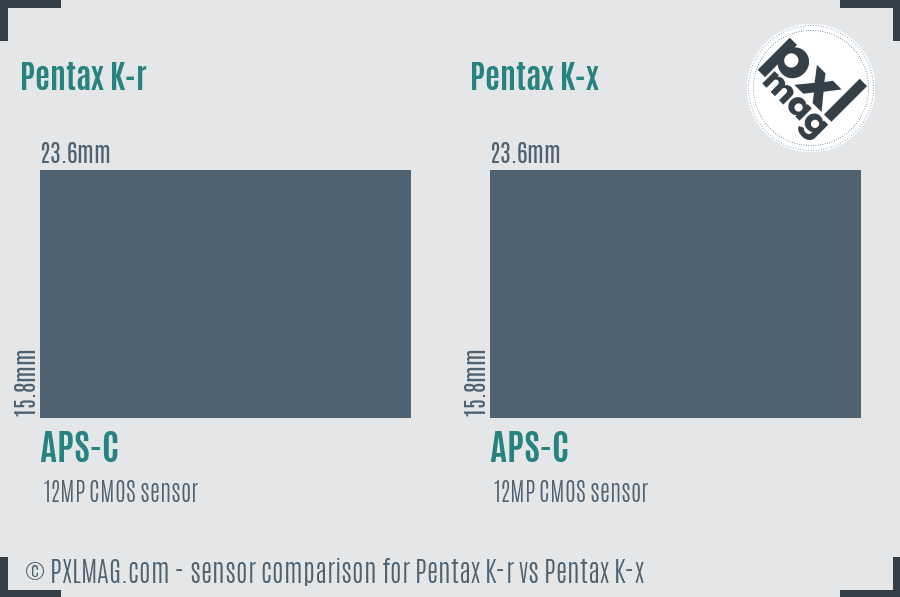 Pentax K-r vs Pentax K-x sensor size comparison