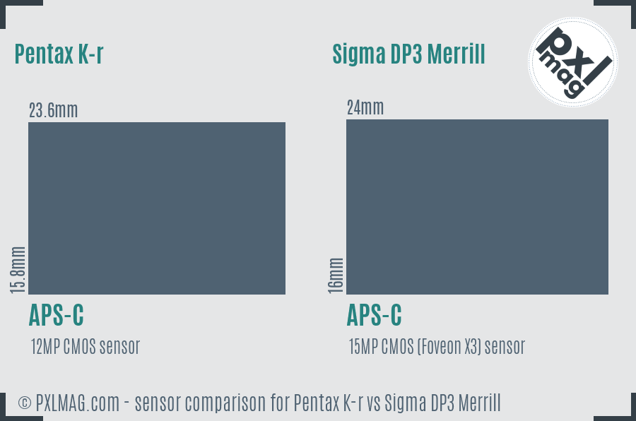 Pentax K-r vs Sigma DP3 Merrill sensor size comparison