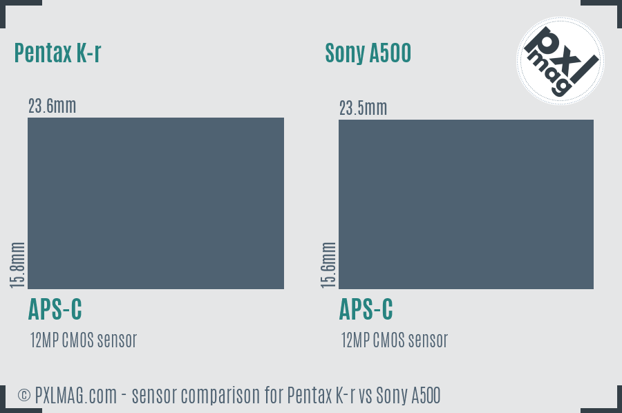Pentax K-r vs Sony A500 sensor size comparison