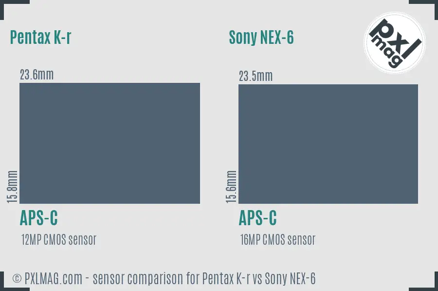 Pentax K-r vs Sony NEX-6 sensor size comparison