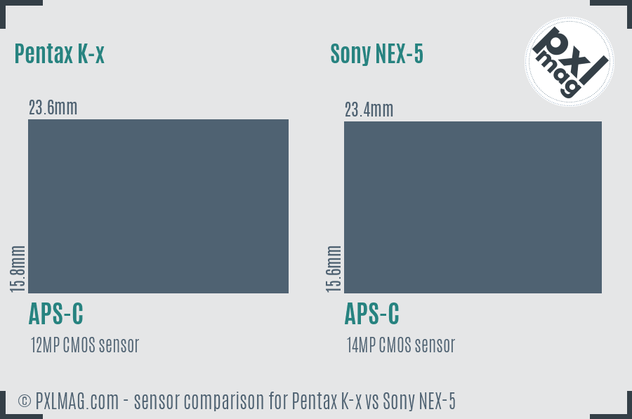 Pentax K-x vs Sony NEX-5 sensor size comparison
