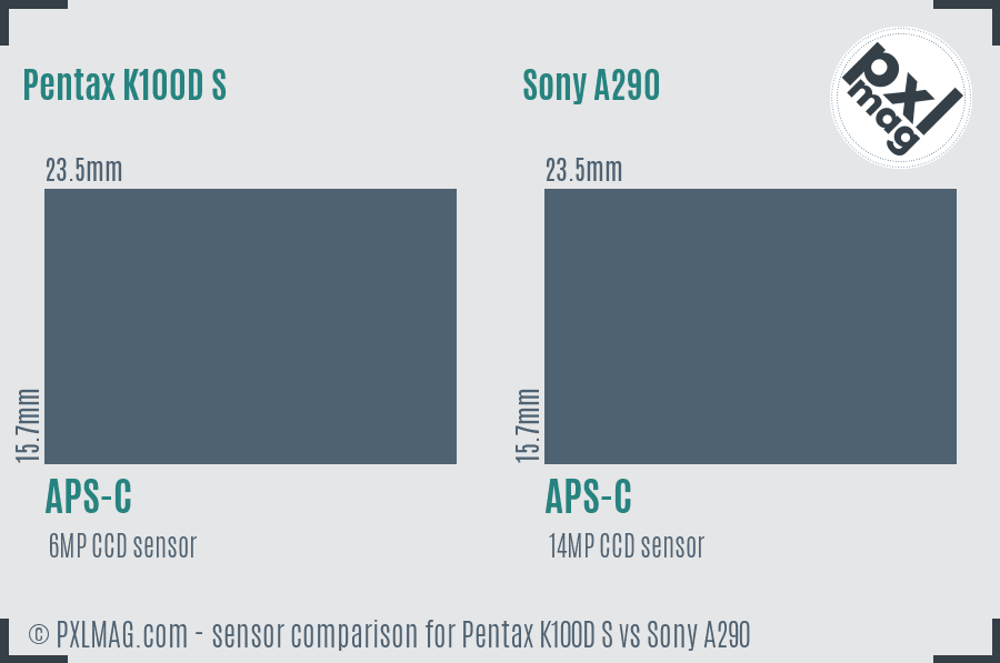 Pentax K100D S vs Sony A290 sensor size comparison