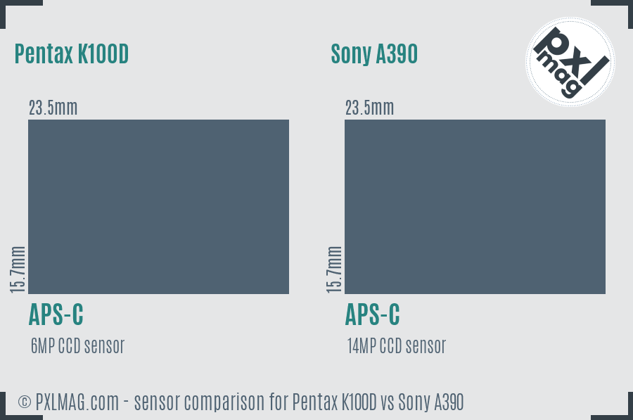 Pentax K100D vs Sony A390 sensor size comparison