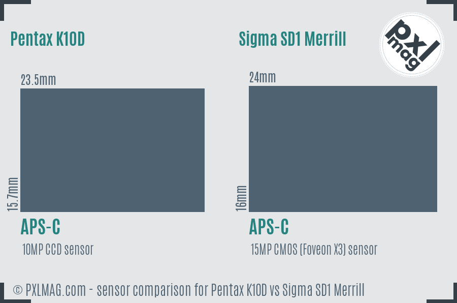 Pentax K10D vs Sigma SD1 Merrill sensor size comparison