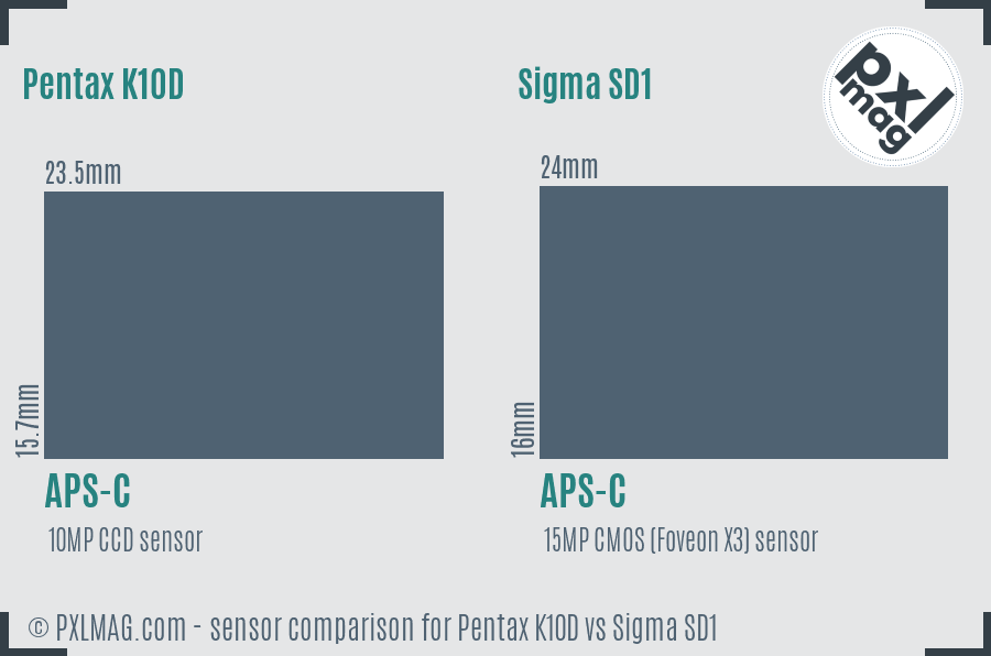 Pentax K10D vs Sigma SD1 sensor size comparison