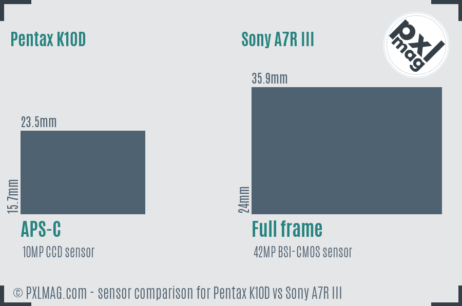 Pentax K10D vs Sony A7R III sensor size comparison