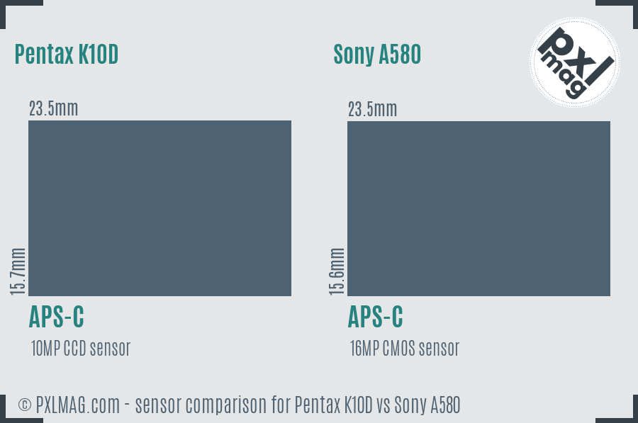 Pentax K10D vs Sony A580 sensor size comparison