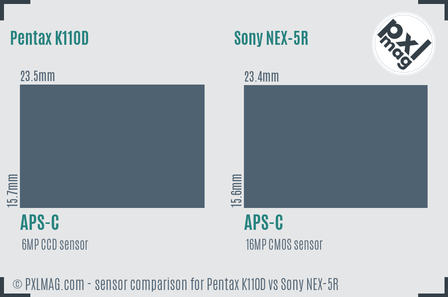 Pentax K110D vs Sony NEX-5R sensor size comparison