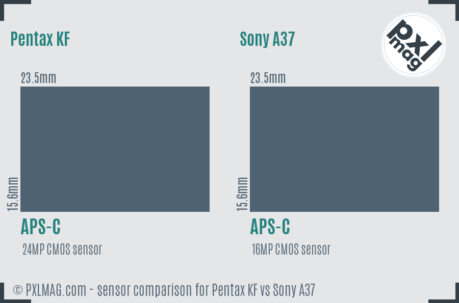 Pentax KF vs Sony A37 sensor size comparison