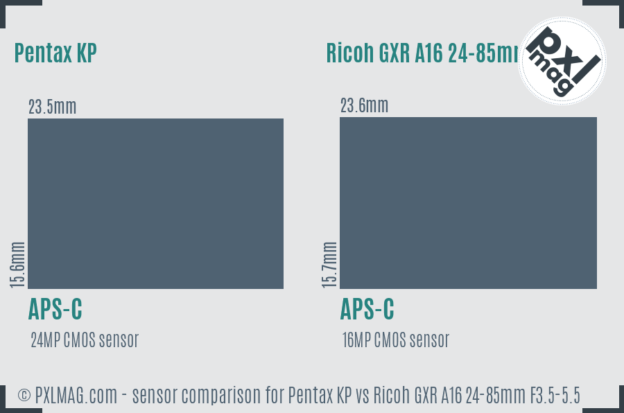 Pentax KP vs Ricoh GXR A16 24-85mm F3.5-5.5 sensor size comparison