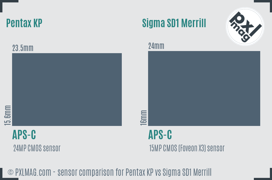 Pentax KP vs Sigma SD1 Merrill sensor size comparison