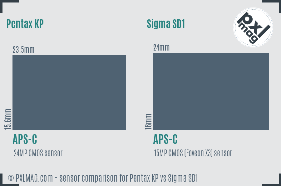 Pentax KP vs Sigma SD1 sensor size comparison