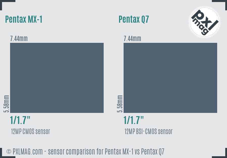 Pentax MX-1 vs Pentax Q7 sensor size comparison