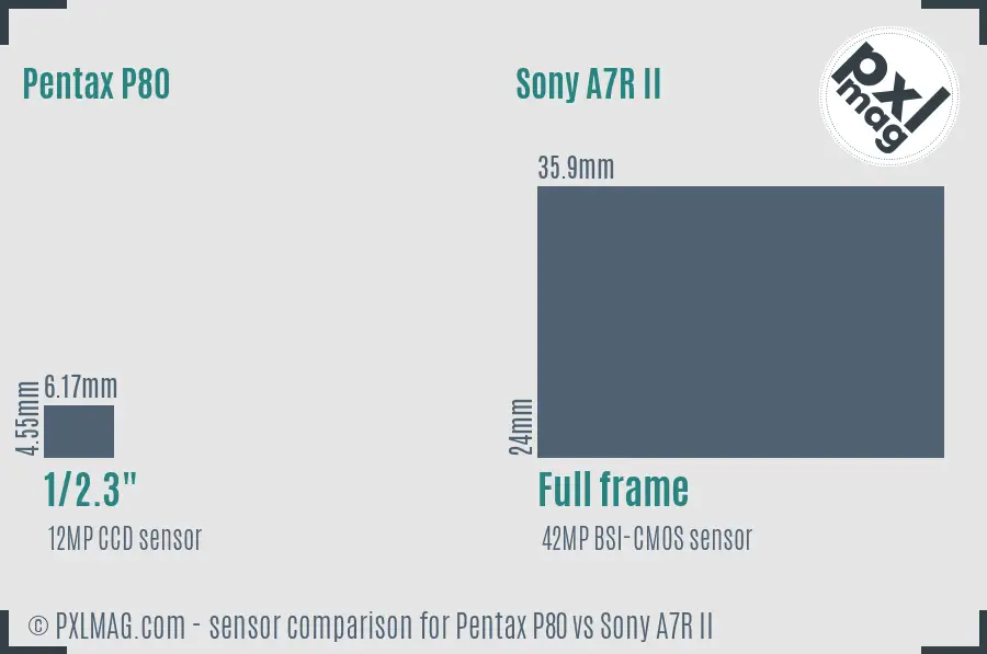 Pentax P80 vs Sony A7R II sensor size comparison