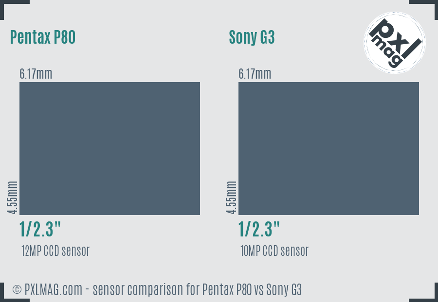 Pentax P80 vs Sony G3 sensor size comparison