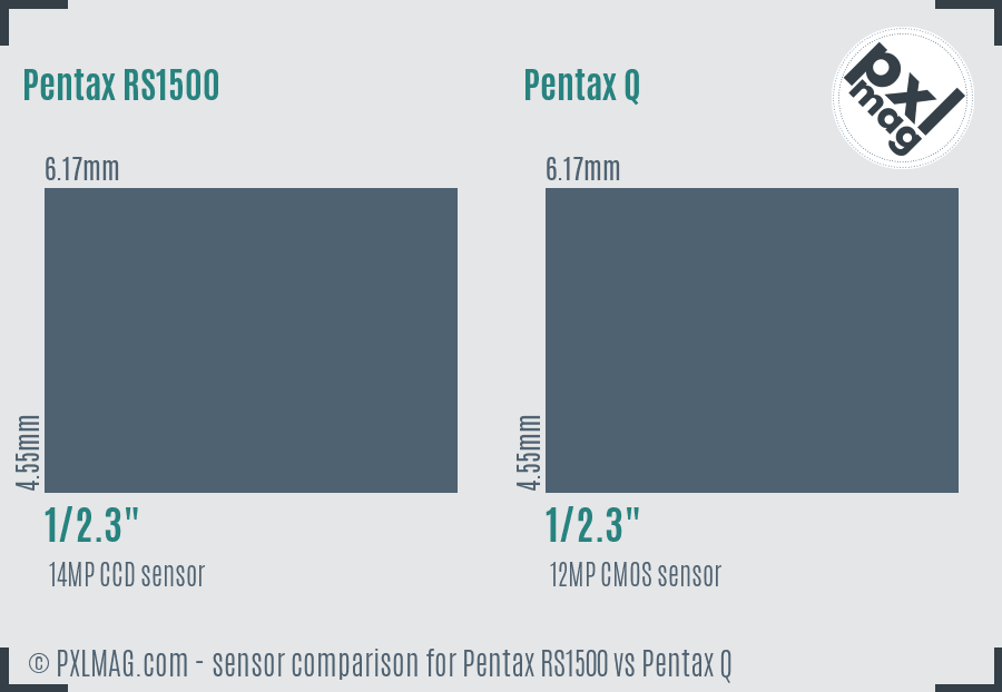Pentax RS1500 vs Pentax Q sensor size comparison